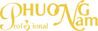CÔNG TY CỔ PHẦN PRO PHƯƠNG NAM